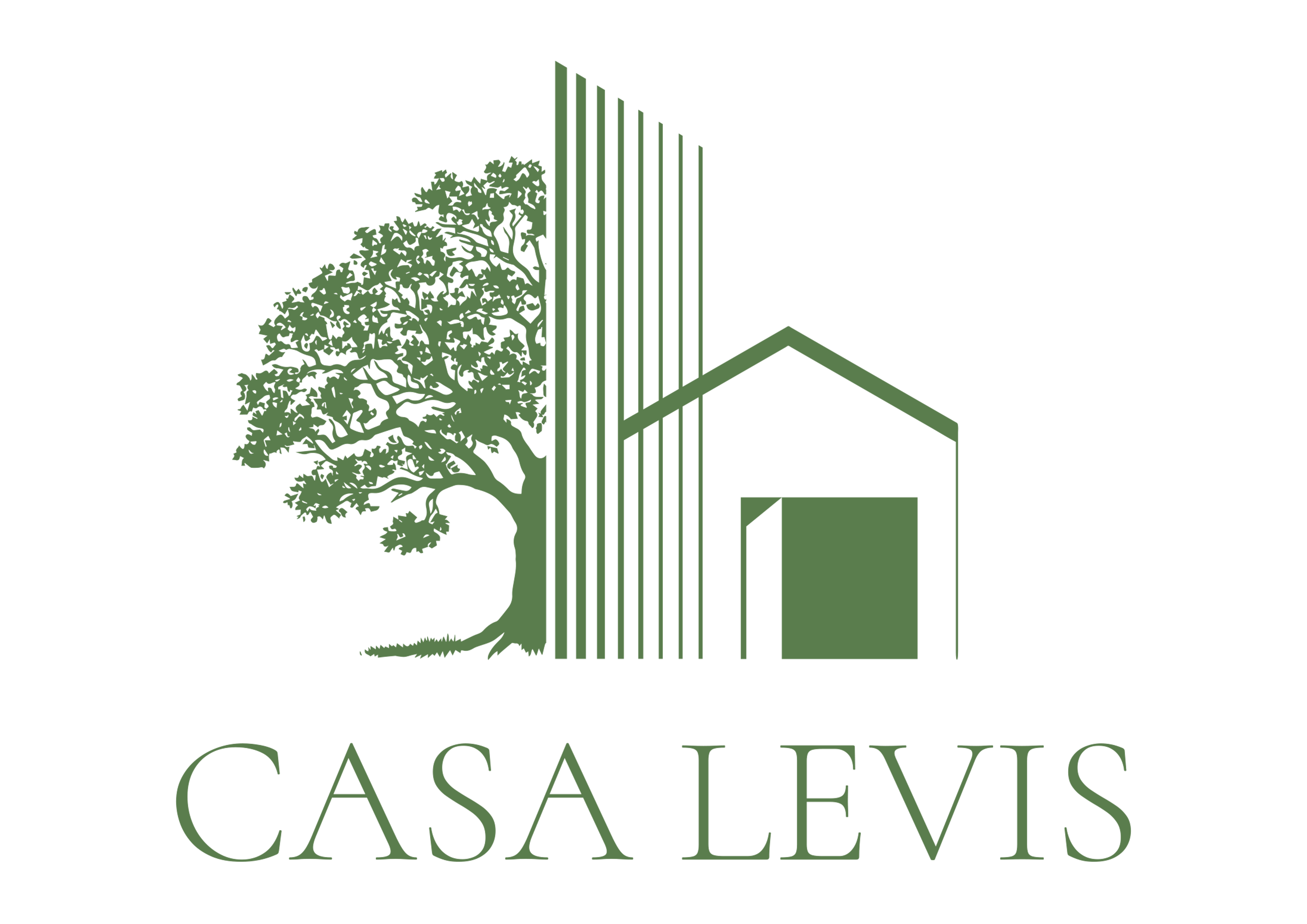 Logo Casa Levis